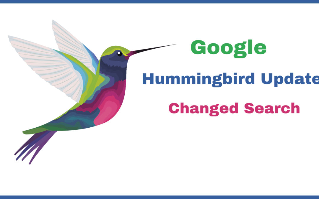 Google Hummingbird Update Changed Search